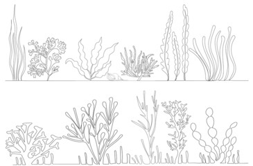 algae drawing in one continuous line, isolated © zolotons