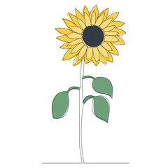 sunflower drawing in one continuous line, isolated vector
