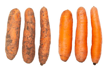 Dirty and clean carrots on a white background. isolated. Before and after washing. Flat lay. Top view. Fresh organic food