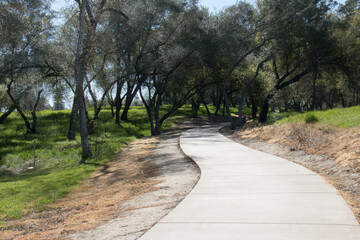 path in the park
