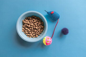 On a blue background there is a blue bowl with dry pet food next to toys. Layout for pets.