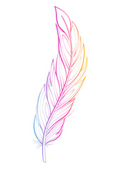 Bird feather vector illustration. Fluffy feather silhouette with gradient.