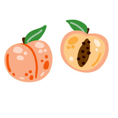 Peach fruit. Fresh sweet natural pink food. Flat modern cartoon illustration