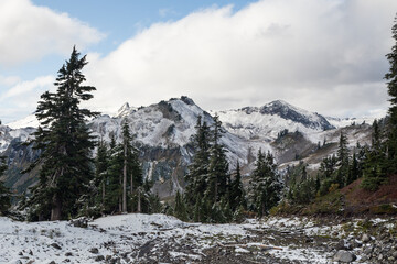Winter landscape with forest and snow clouded mountains. Location place is North Cascades National Park, Washington, USA