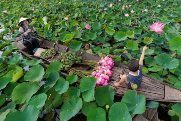 Fotobehang Top view of vietnamese boy playing with mom over the traditional wooden boat when padding for keep the pink lotus in the big lake at thap muoi, dong thap province, vietnam, culture and life concept © Songkhla Studio