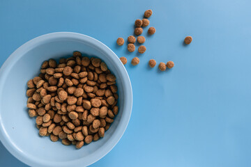 Blue bowl with dry pet food on a blue background. Layout of pet food.
