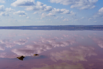 The Pink Lagoon of Torrevieja in Alicante, Spain, calm and reflecting the sky as if it were a mirror.