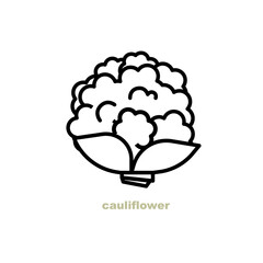 Fresh cauliflower vegetable icon healthy food concept.
