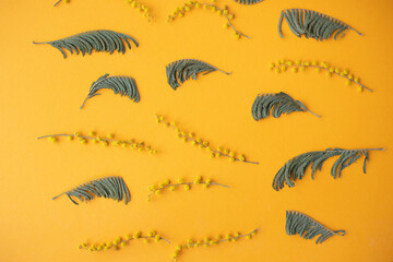 spring mimosa flowers on an orange background