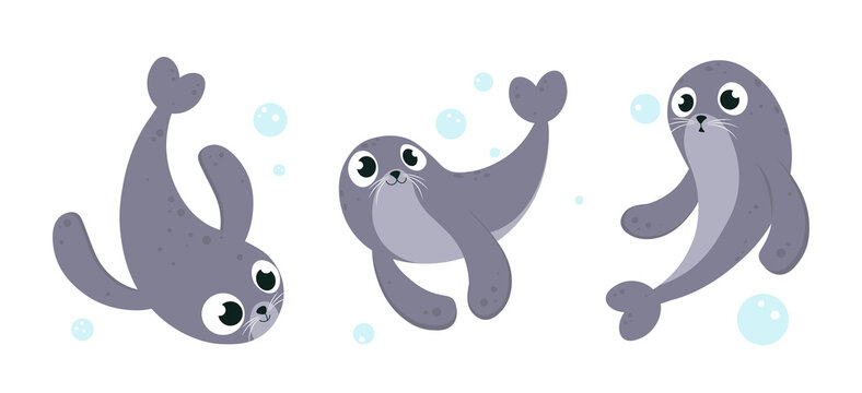 Vector illustration cute and beautiful sea calf on white background. Charming character in different poses in cartoon style.