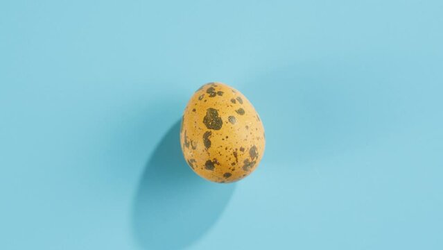 Quail egg isolated on blue background top view. Healthy eating, dieting.
