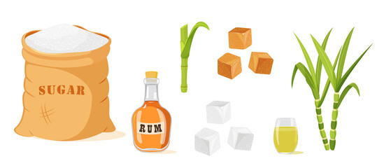 Set of sugar cane products isolated on white.