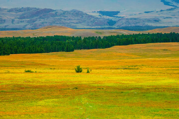 Bright natural minimalistic landscape with a spring multicolored field with mountains in the background. Natural background of the mountain steppe.
