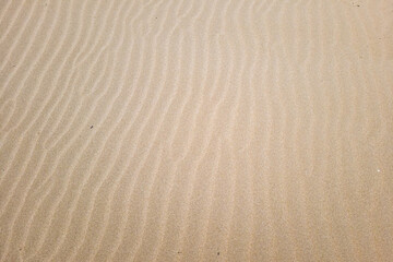 Fototapeta na wymiar Nice background of sand on the beach