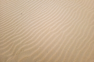 Fototapeta na wymiar Nice background of sand on the beach
