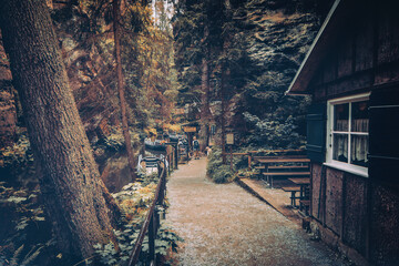 Waldlandschaft Kirnitzschtal mit Anlegestelle für die Kanu Tour. Kirnitzschklamm an einem kleinen...