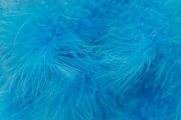 Multicolored bright colorful bird feathers close-up as a background. Holiday carnival. Set of colored different feathers.