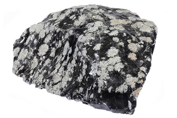 snowflake obsidian from Mexico isolated on white background