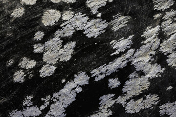 snowflake obsidian from Mexico for background use