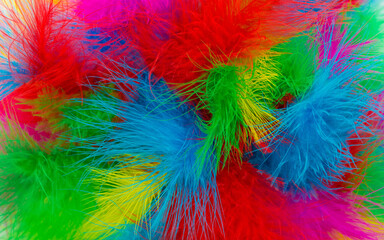 Multicolored bright, colorful feathers as a bright festive fun background with space for text for design