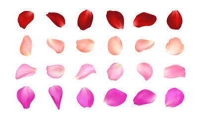 Set of vector realistic rose petals in different colors. Isolated red, pink, peach, burgundy volumetric petal on white background. Template for greeting romantic cards. Close-up.