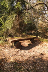 a old nice garden bench