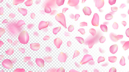 Seamless pattern with realistic flying pink rose petals on white transparent background. Repeating texture with voluminous blurred falling sakura petal. Vector illustration with blur effect.