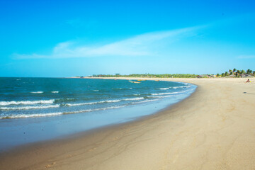 beach with trees