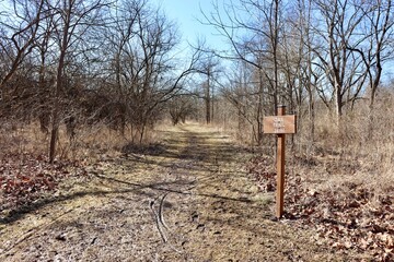 The empty muddy hiking trail in the forest on a sunny day.