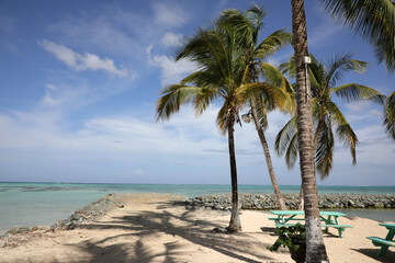 Tobago - Strand (Karibik)