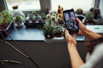 Florist taking pictures of assorted exotic plants