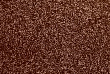 Beautiful bright eco-leather, animal skin texture in brown color, close-up as a background.
