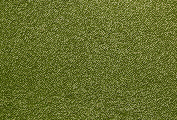 Beautiful bright eco-leather, animal skin texture in green color, close-up as a background.