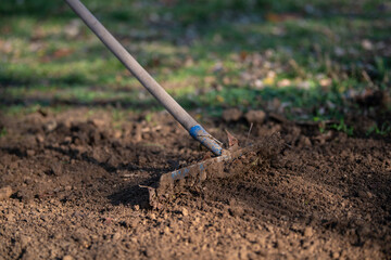 Rake shoveling the soil in preparation for planting. Closeup.