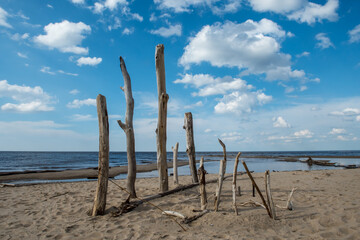 Carnikava, Latvia, Coastal scene at the Baltic sea with fallen trees in a sunny day