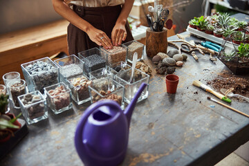 Florist choosing natural rocks for a succulent terrarium decoration
