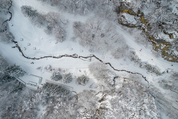 Aerial view of a frozen forest and stream of water