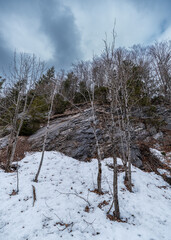 Hang mit Felsen und Bäumen im Schnee