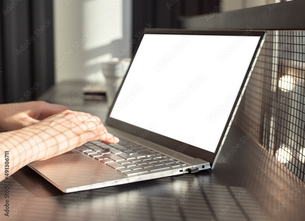 Poster Hands typing on laptop keyboard with computer mockup screen. photo
