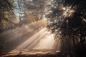 Obraz premium Strahlenmeer