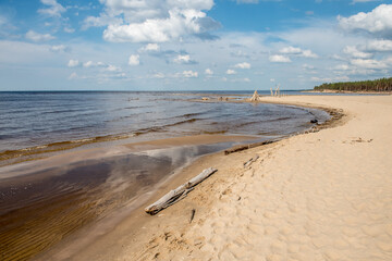 Carnikava, Latvia, Coastal scene at the Baltic sea with fallen trees in a sunny day