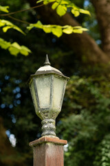 An old lamppost in a garden surrounded by plants and trees