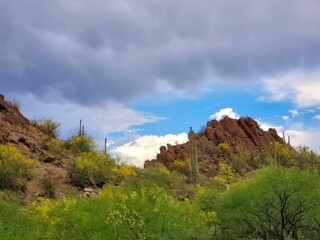 desert mountain cactus blue sky