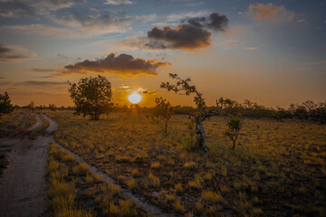 sunset over the field