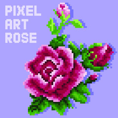 Pixel art rose 8 bit illustration