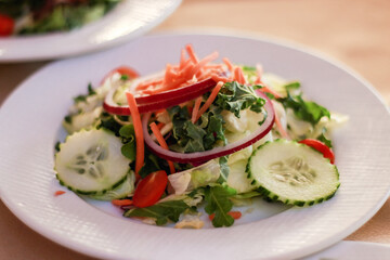 Salad with Vegetables on white plate (carrots, onions, tomatoes, cucumbers, lettuce)