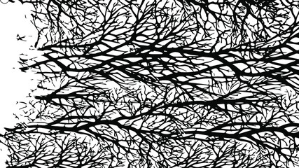 Rustic cracked vector texture with many cracks and scratches. Abstract background. Broken and damaged surface. Aged backdrop. Vector graphic illustration with transparent white. EPS10.