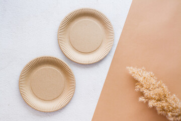 The concept of eco-friendly utensils for food. A pair of cardboard plates and an ear of grass on a two-tone background. Top view.
