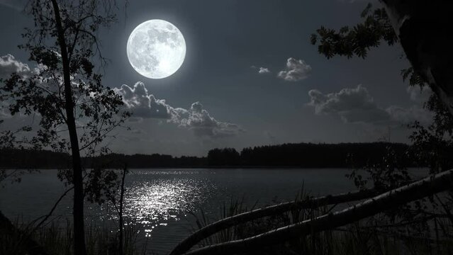 Full moon night nature landscape with forest lake