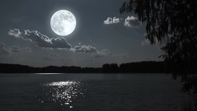 Full moon night nature landscape with forest lake